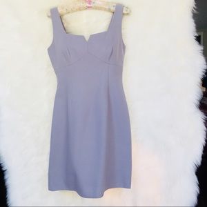 Timeless BCBG MAXAZRIA Sheath Dress - Pale Lilac